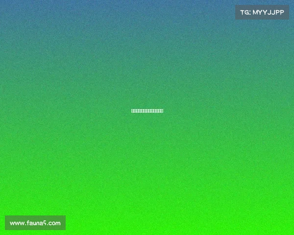 电子竞技证叫什么名字啊好听